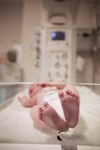 9O6A7185